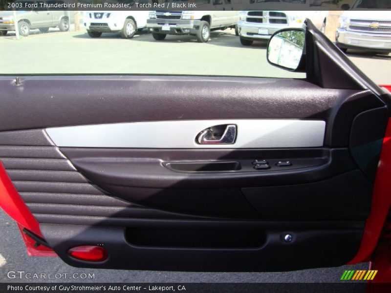Door Panel of 2003 Thunderbird Premium Roadster