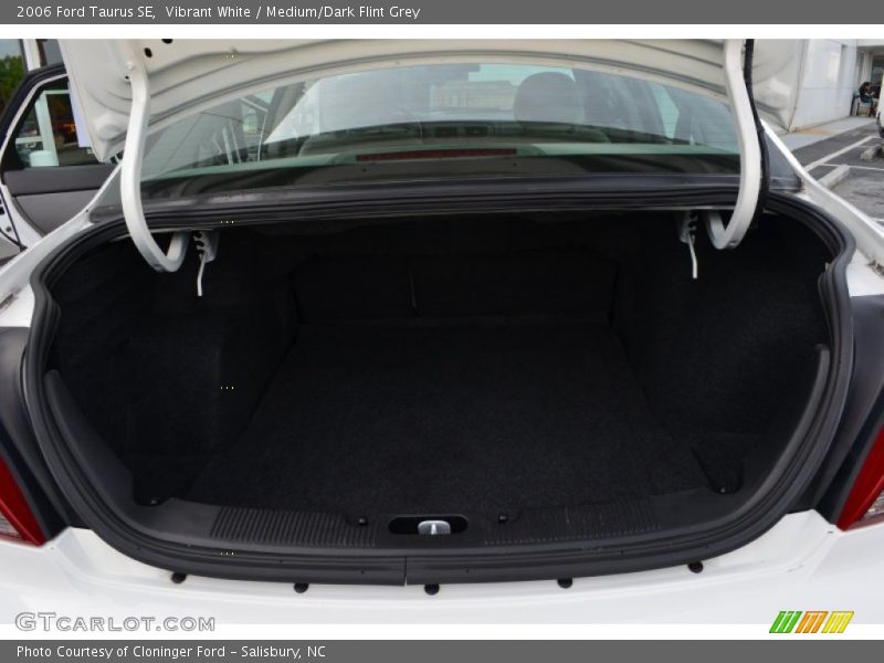 Vibrant White / Medium/Dark Flint Grey 2006 Ford Taurus SE