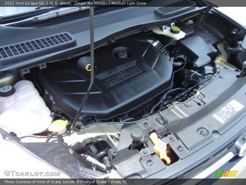 Ginger Ale Metallic / Medium Light Stone 2013 Ford Escape SEL 2.0L EcoBoost
