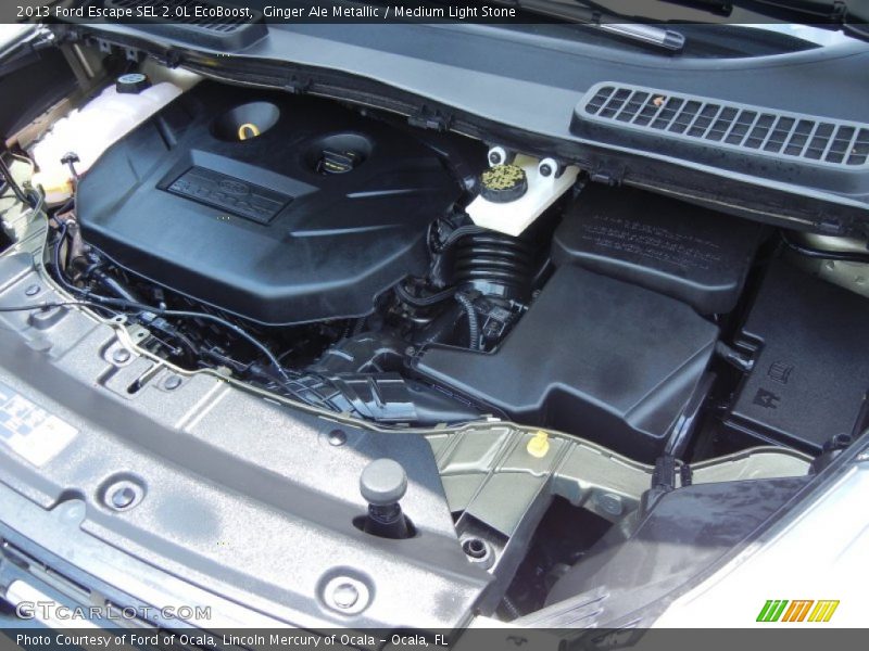 Ginger Ale Metallic / Medium Light Stone 2013 Ford Escape SEL 2.0L EcoBoost