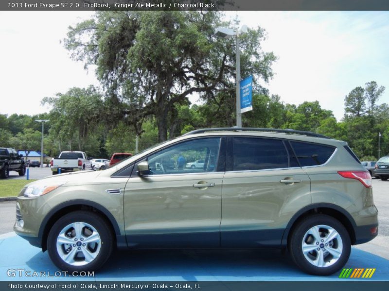 Ginger Ale Metallic / Charcoal Black 2013 Ford Escape SE 2.0L EcoBoost
