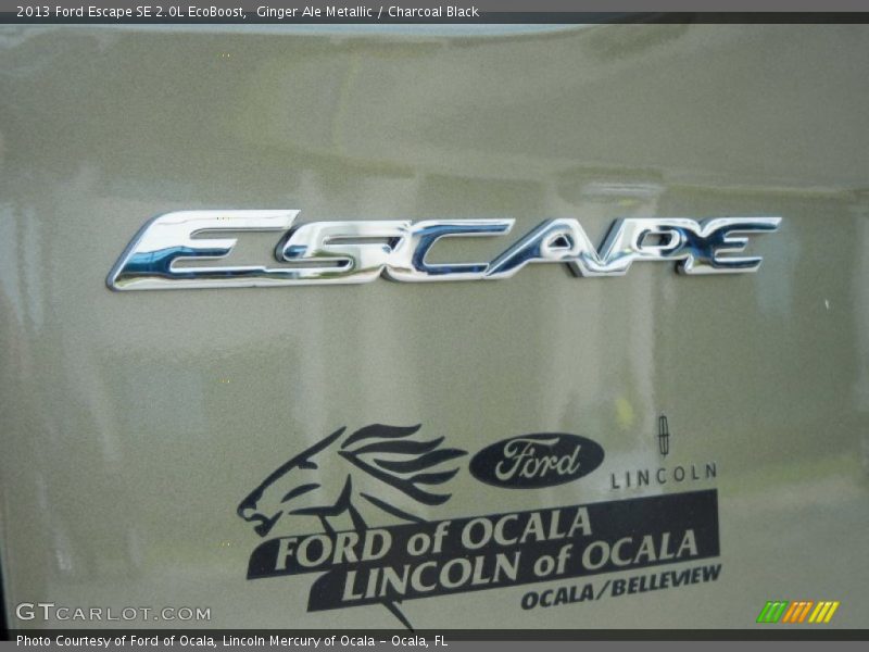 Ginger Ale Metallic / Charcoal Black 2013 Ford Escape SE 2.0L EcoBoost