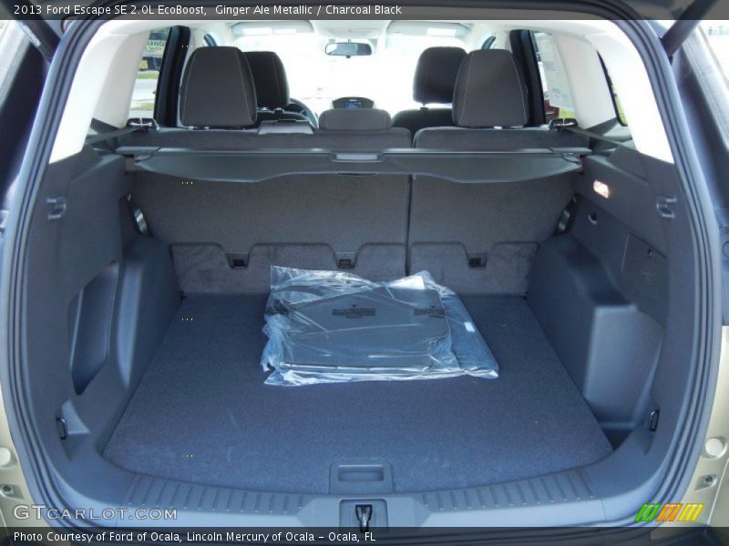 Ginger Ale Metallic / Charcoal Black 2013 Ford Escape SE 2.0L EcoBoost