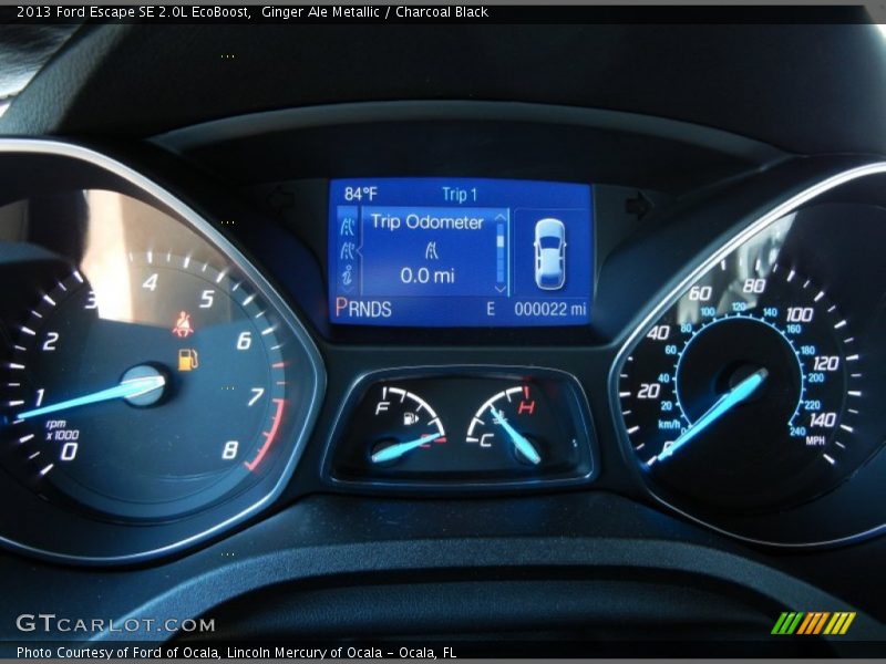 Ginger Ale Metallic / Charcoal Black 2013 Ford Escape SE 2.0L EcoBoost