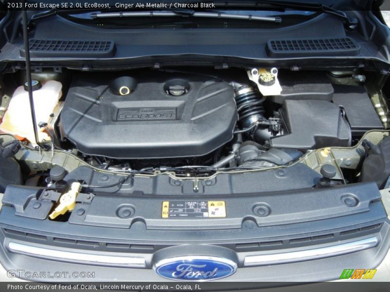 Ginger Ale Metallic / Charcoal Black 2013 Ford Escape SE 2.0L EcoBoost