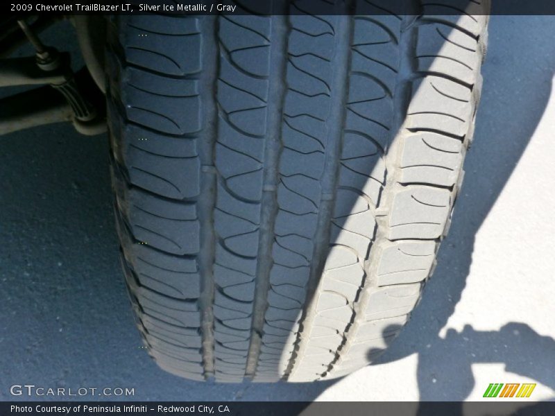 Silver Ice Metallic / Gray 2009 Chevrolet TrailBlazer LT