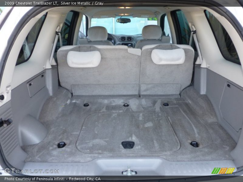 Silver Ice Metallic / Gray 2009 Chevrolet TrailBlazer LT