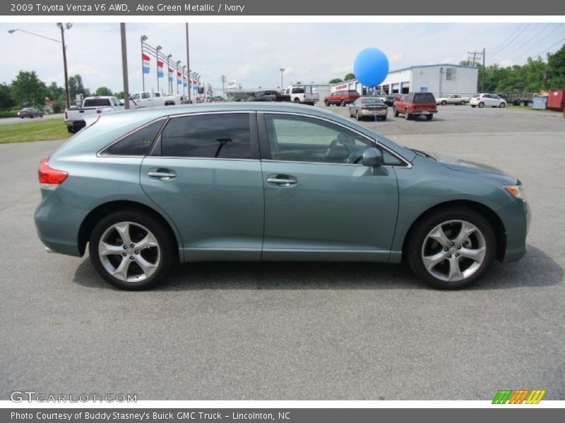 Aloe Green Metallic / Ivory 2009 Toyota Venza V6 AWD