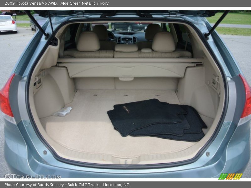 Aloe Green Metallic / Ivory 2009 Toyota Venza V6 AWD