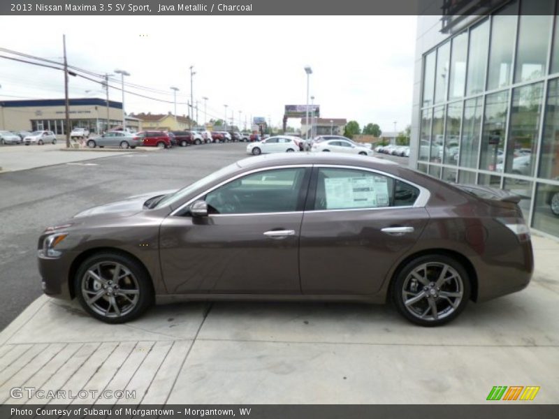  2013 Maxima 3.5 SV Sport Java Metallic