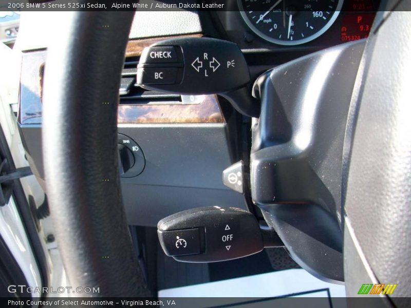 Alpine White / Auburn Dakota Leather 2006 BMW 5 Series 525xi Sedan