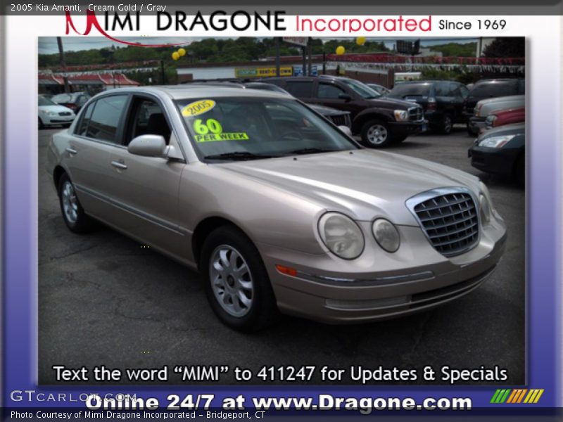Cream Gold / Gray 2005 Kia Amanti