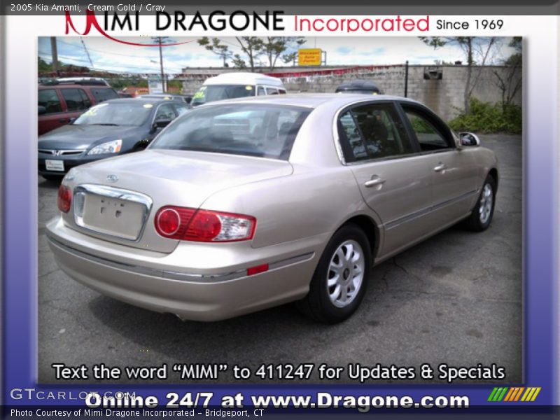 Cream Gold / Gray 2005 Kia Amanti