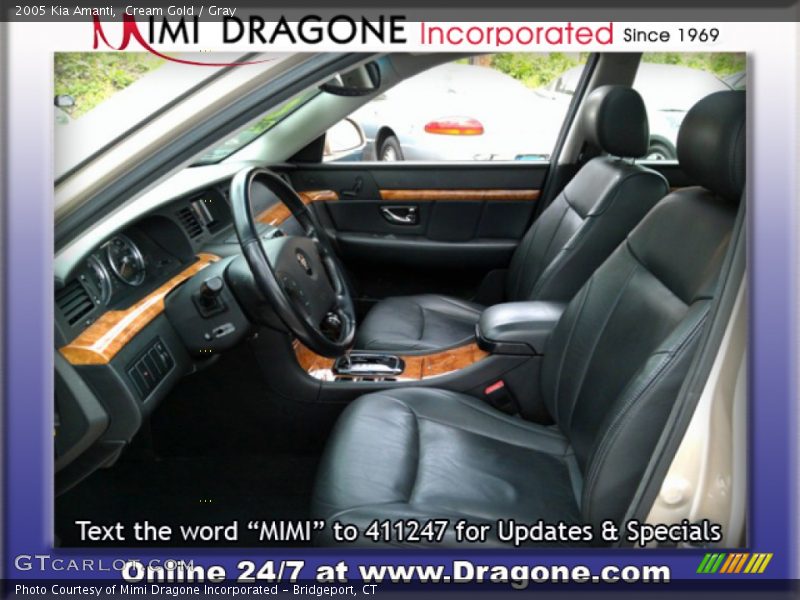 Cream Gold / Gray 2005 Kia Amanti