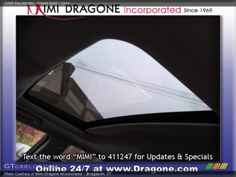 Cream Gold / Gray 2005 Kia Amanti