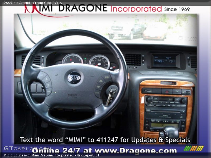 Cream Gold / Gray 2005 Kia Amanti