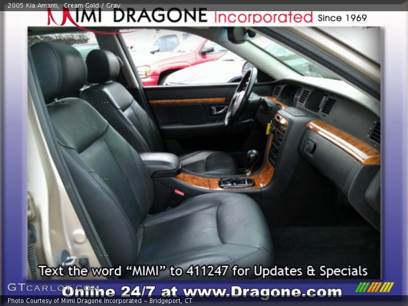 Cream Gold / Gray 2005 Kia Amanti