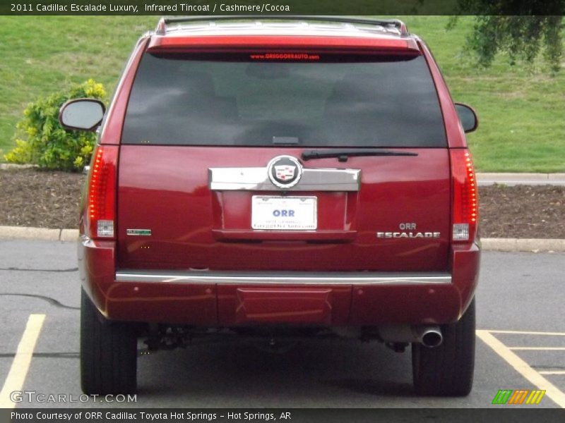 Infrared Tincoat / Cashmere/Cocoa 2011 Cadillac Escalade Luxury