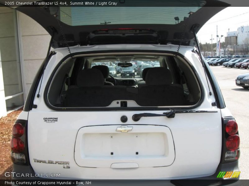 Summit White / Light Gray 2005 Chevrolet TrailBlazer LS 4x4
