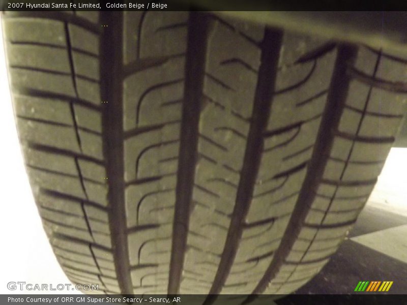 Golden Beige / Beige 2007 Hyundai Santa Fe Limited