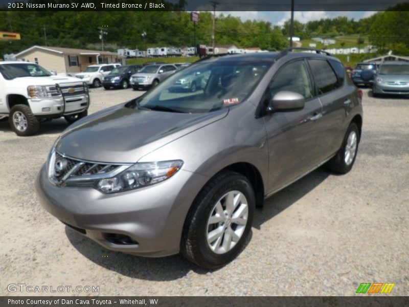 Tinted Bronze / Black 2012 Nissan Murano SV AWD