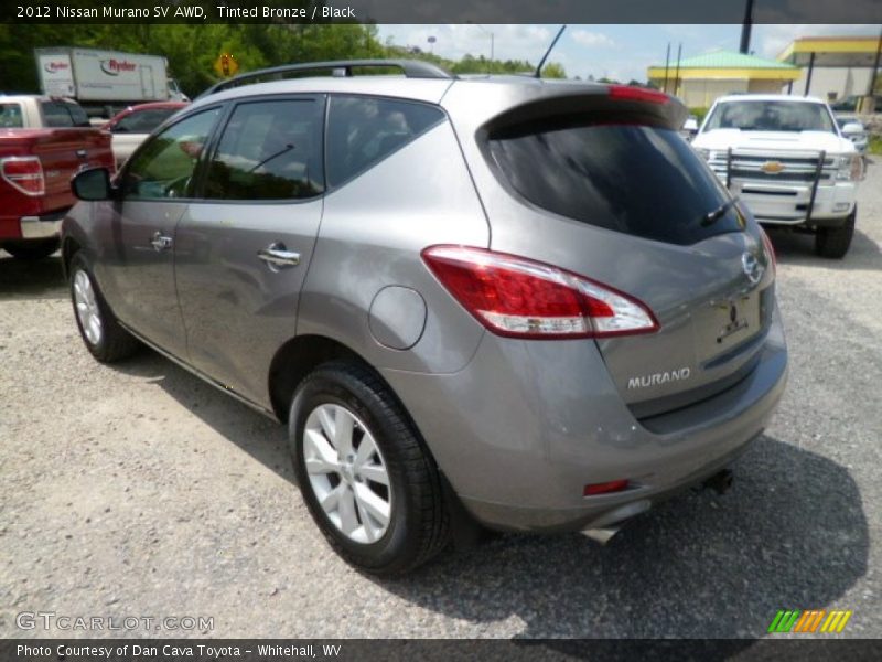 Tinted Bronze / Black 2012 Nissan Murano SV AWD