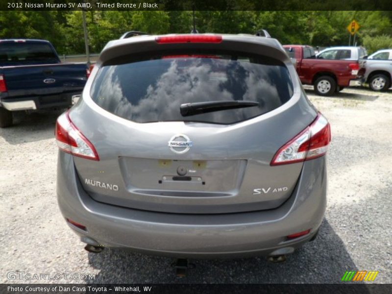 Tinted Bronze / Black 2012 Nissan Murano SV AWD
