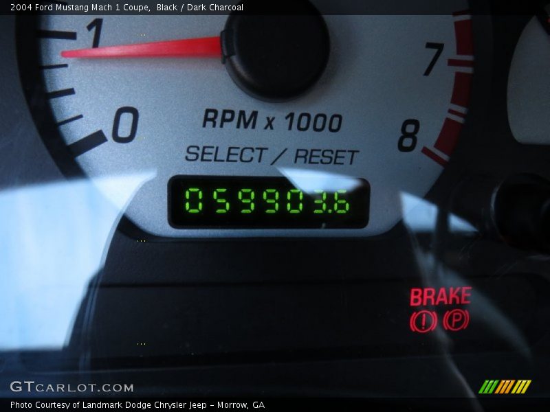 Black / Dark Charcoal 2004 Ford Mustang Mach 1 Coupe