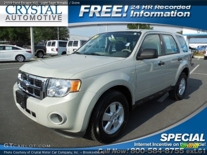 Light Sage Metallic / Stone 2009 Ford Escape XLS