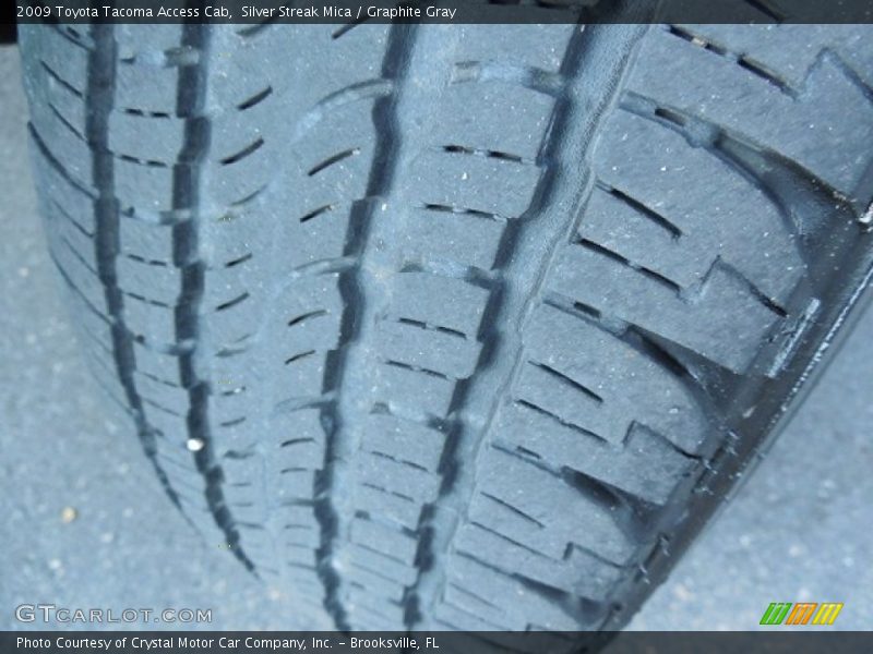 Silver Streak Mica / Graphite Gray 2009 Toyota Tacoma Access Cab