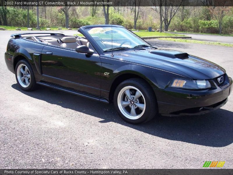 Black / Medium Parchment 2002 Ford Mustang GT Convertible