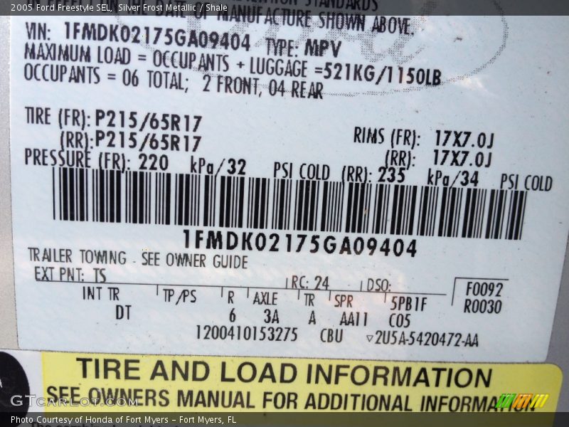 2005 Freestyle SEL Silver Frost Metallic Color Code TS