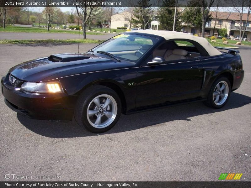 Black / Medium Parchment 2002 Ford Mustang GT Convertible
