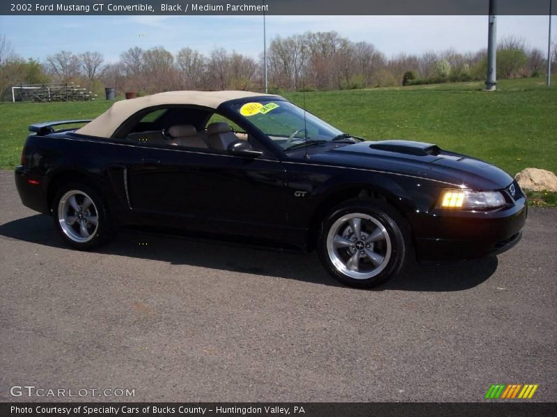 Black / Medium Parchment 2002 Ford Mustang GT Convertible