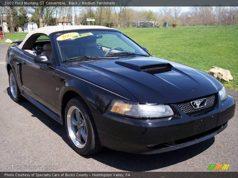 Black / Medium Parchment 2002 Ford Mustang GT Convertible