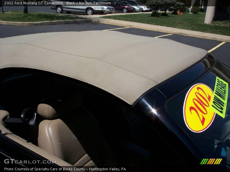 Black / Medium Parchment 2002 Ford Mustang GT Convertible