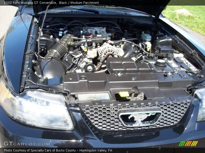 Black / Medium Parchment 2002 Ford Mustang GT Convertible