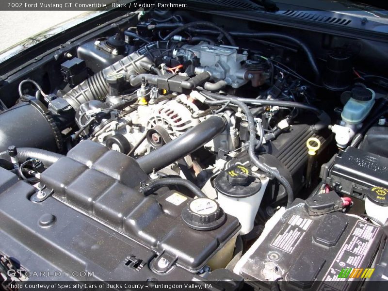 Black / Medium Parchment 2002 Ford Mustang GT Convertible