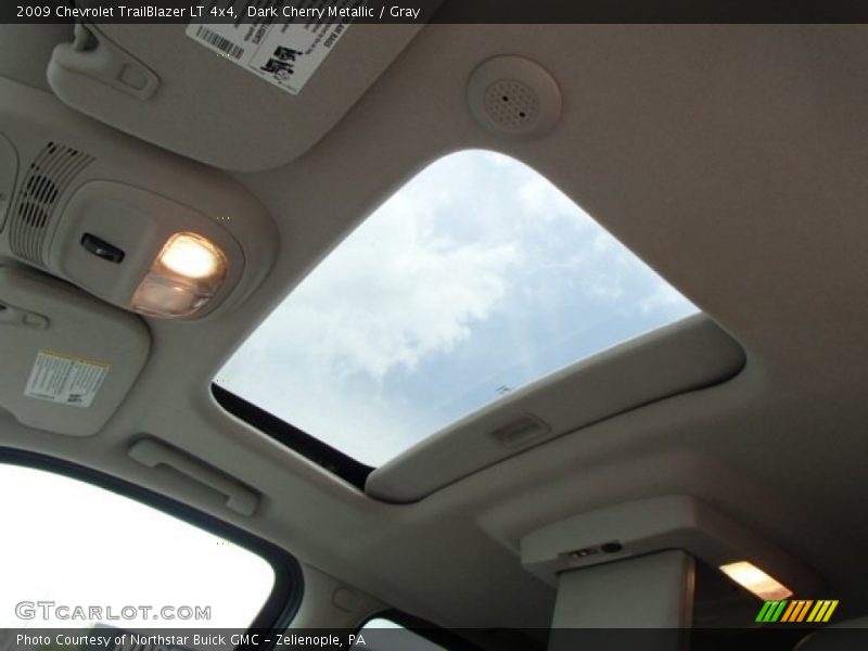 Dark Cherry Metallic / Gray 2009 Chevrolet TrailBlazer LT 4x4