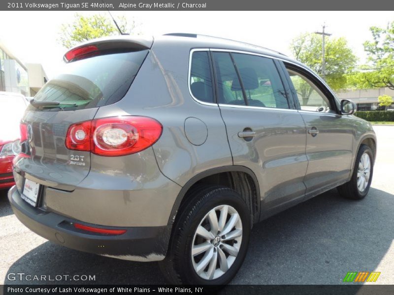 Alpine Gray Metallic / Charcoal 2011 Volkswagen Tiguan SE 4Motion