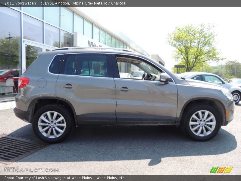 Alpine Gray Metallic / Charcoal 2011 Volkswagen Tiguan SE 4Motion