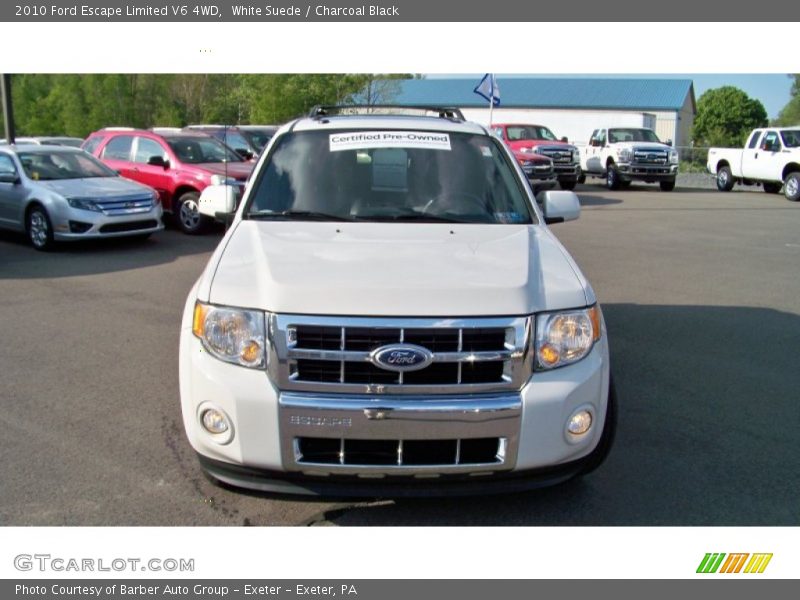 White Suede / Charcoal Black 2010 Ford Escape Limited V6 4WD