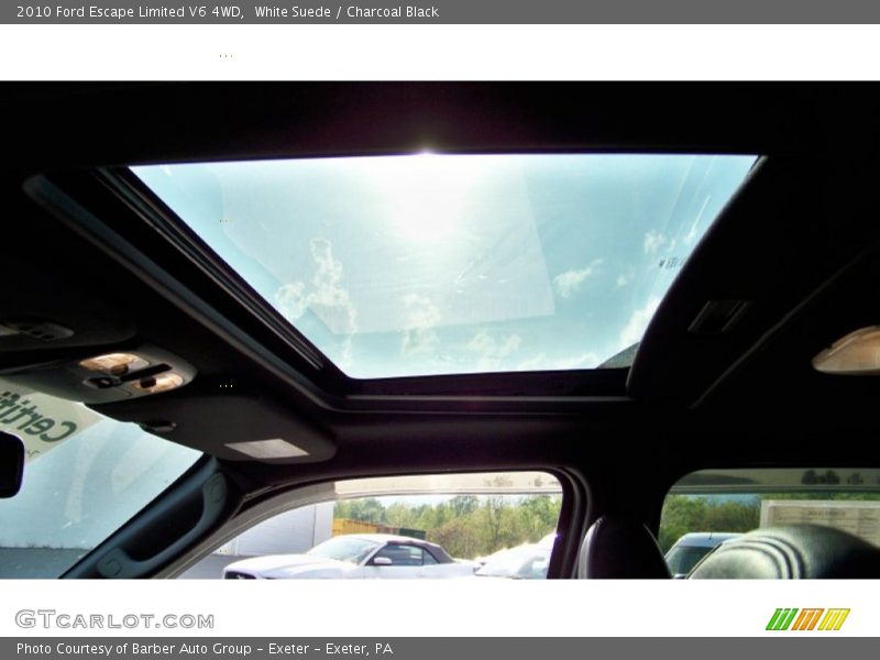 White Suede / Charcoal Black 2010 Ford Escape Limited V6 4WD