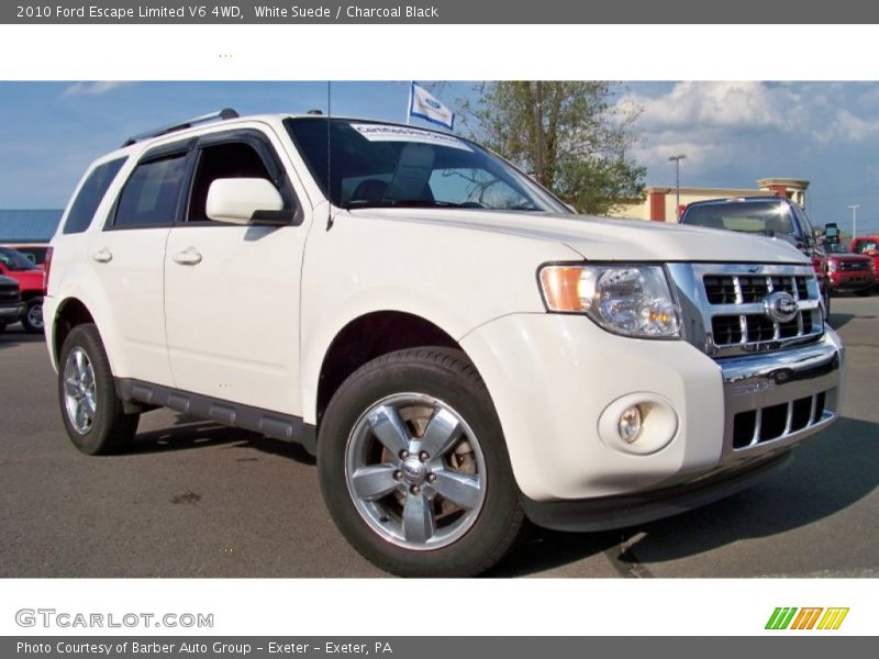 White Suede / Charcoal Black 2010 Ford Escape Limited V6 4WD