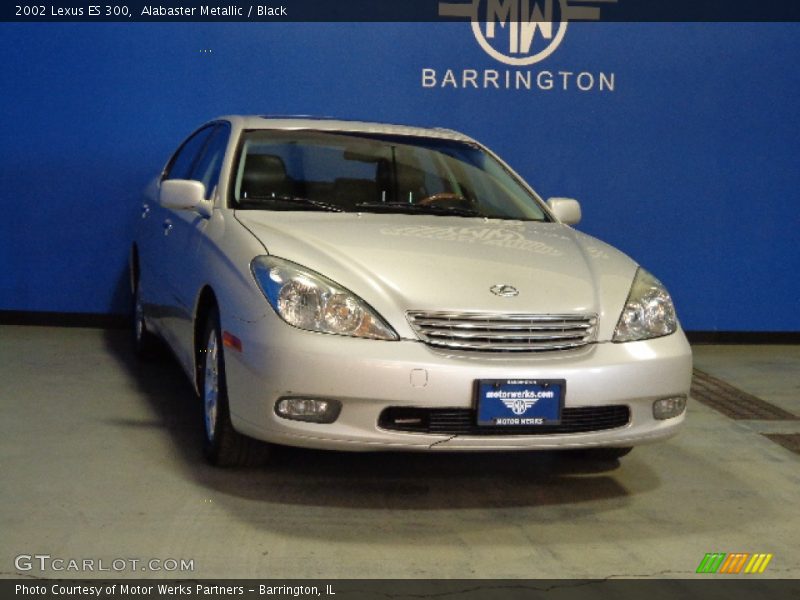 Alabaster Metallic / Black 2002 Lexus ES 300