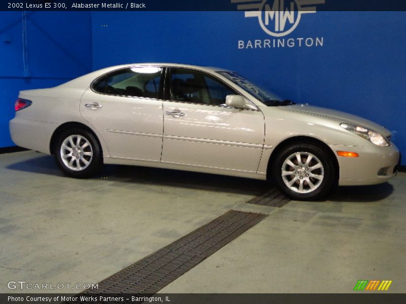 Alabaster Metallic / Black 2002 Lexus ES 300