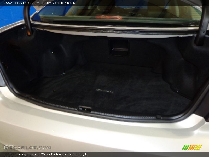 Alabaster Metallic / Black 2002 Lexus ES 300