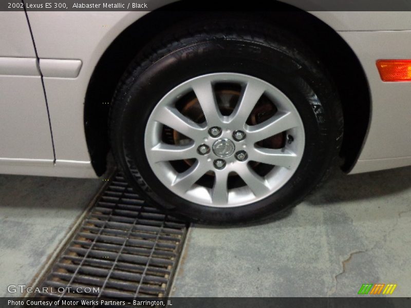 Alabaster Metallic / Black 2002 Lexus ES 300