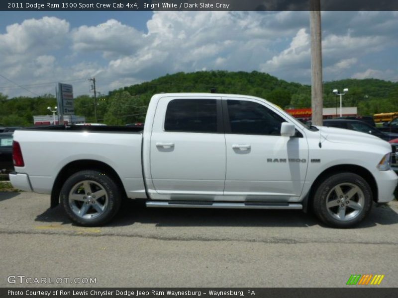 Bright White / Dark Slate Gray 2011 Dodge Ram 1500 Sport Crew Cab 4x4