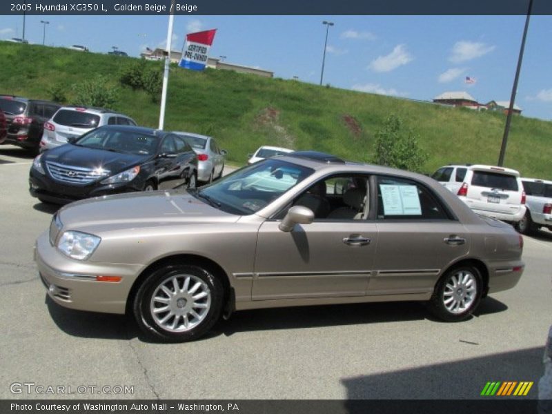 Golden Beige / Beige 2005 Hyundai XG350 L